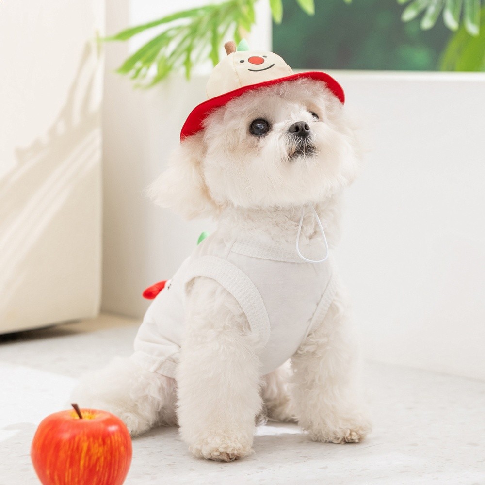 嬉皮狗26年春夏季寵物服飾可牽引透氣汗布背心小型犬貓咪狗狗衣服-細節圖2