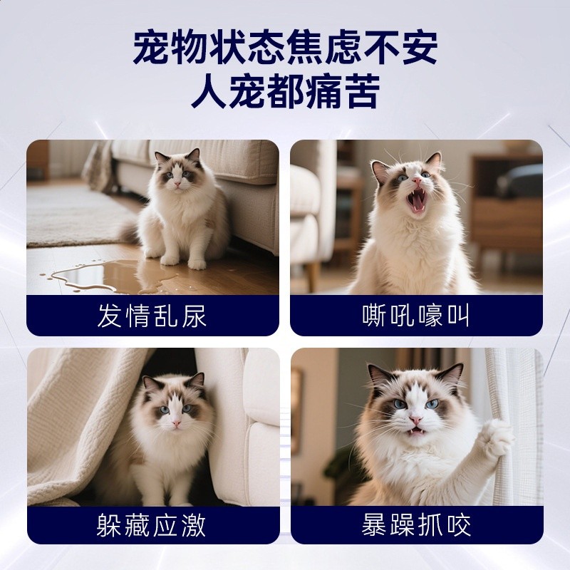 100片海洋的問候開心片安撫情緒舒緩片緩解焦慮抑制發情寵物貓咪-細節圖4