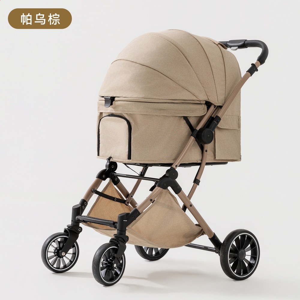 帕烏棕