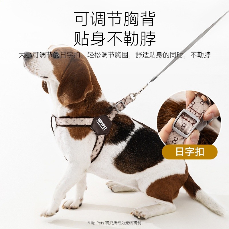 背心式小型犬泰迪博美幼犬胸揹帶寵物比熊狗鏈遛狗繩小狗狗牽引繩-細節圖3