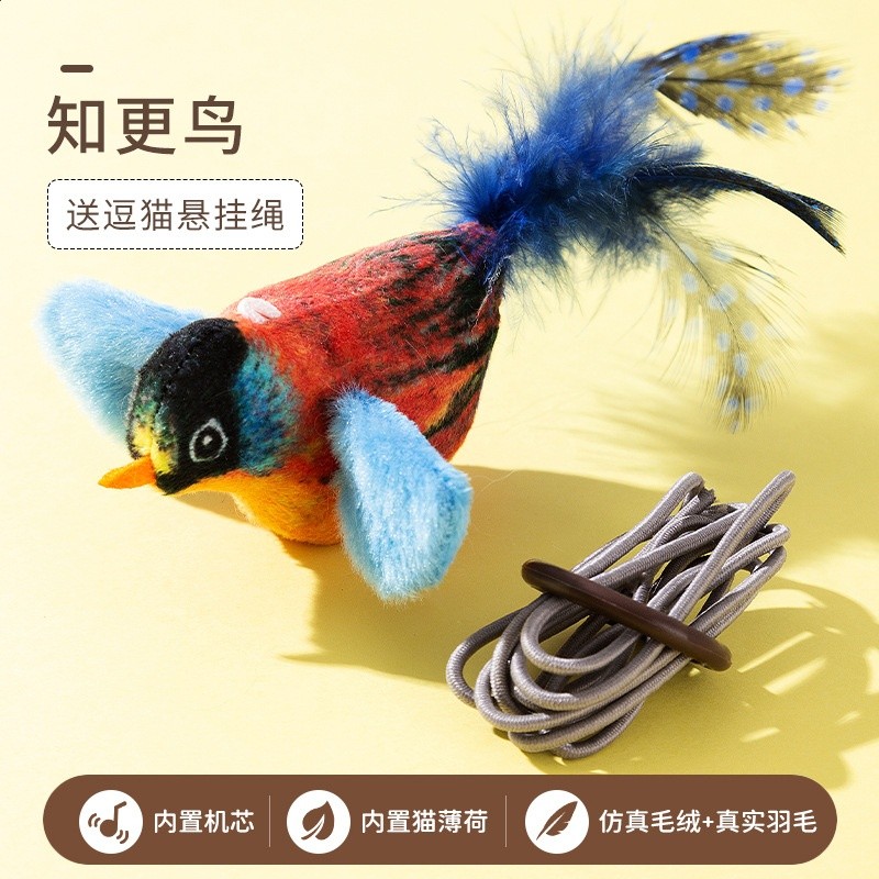 藍色知更鳥