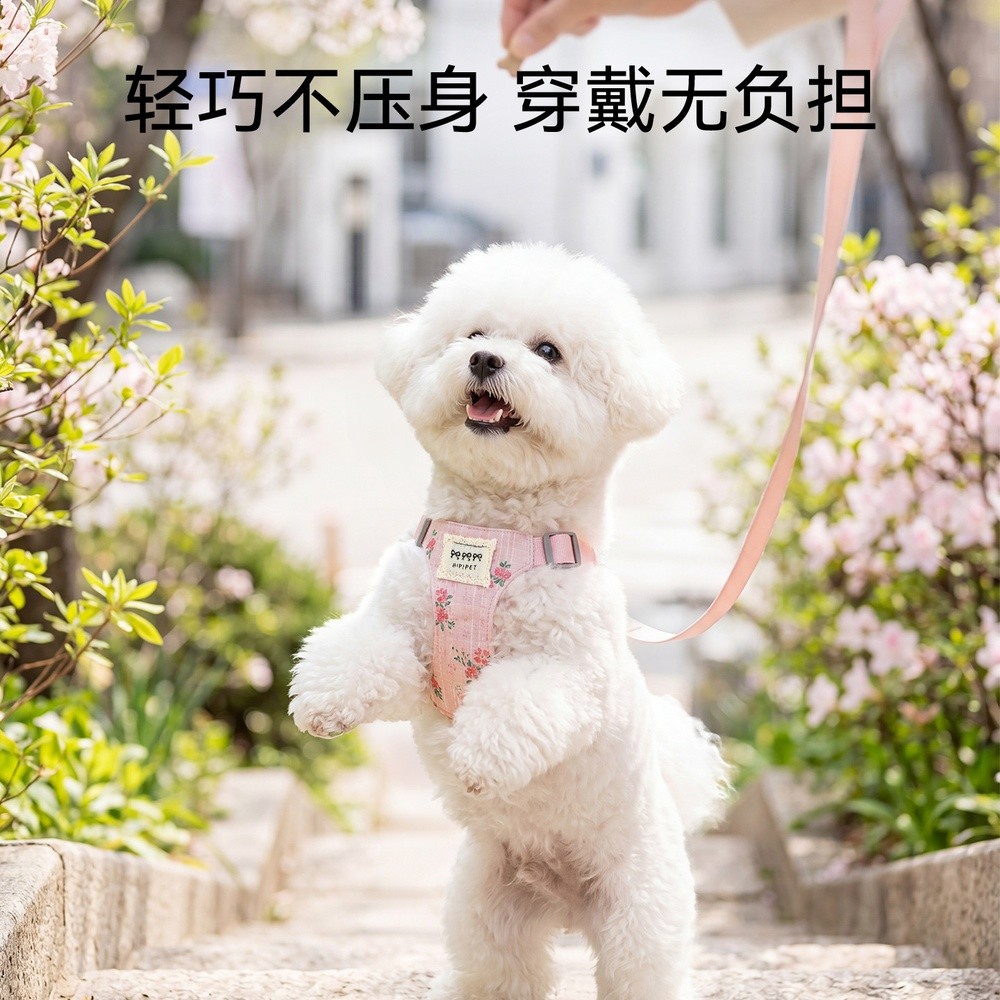 四季韓系春日花境胸背牽引繩中小型犬貓咪外出狗繩狗鏈子寵物牽引-細節圖2