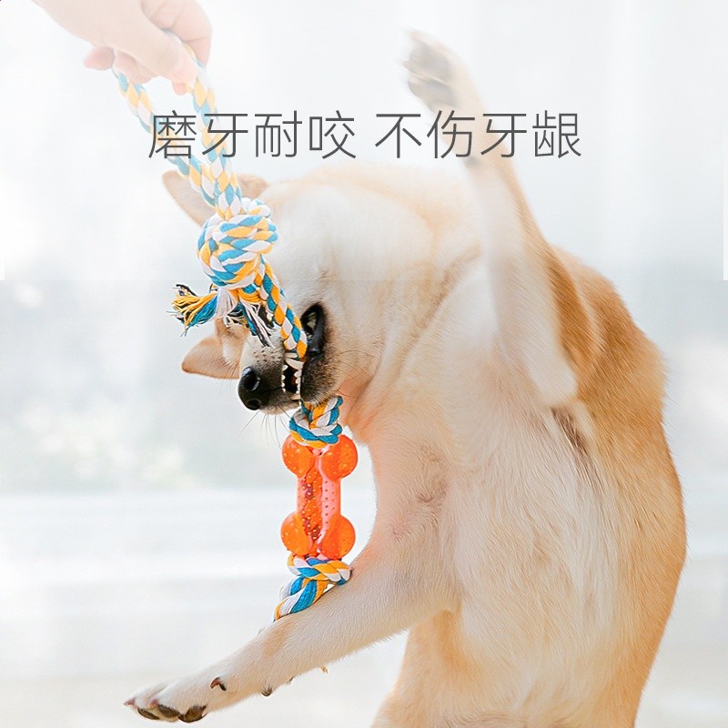 棉繩寵物磨牙玩具咬繩中小型犬解悶訓練十一件套互動耐咬狗狗用品-細節圖3