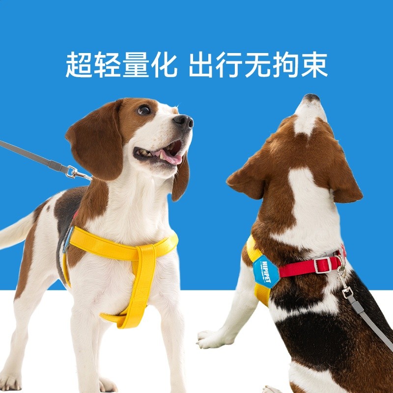 狗狗牽引繩Y型胸揹帶泰迪比熊遛狗繩反光透氣狗鏈可調節寵物胸背-細節圖4