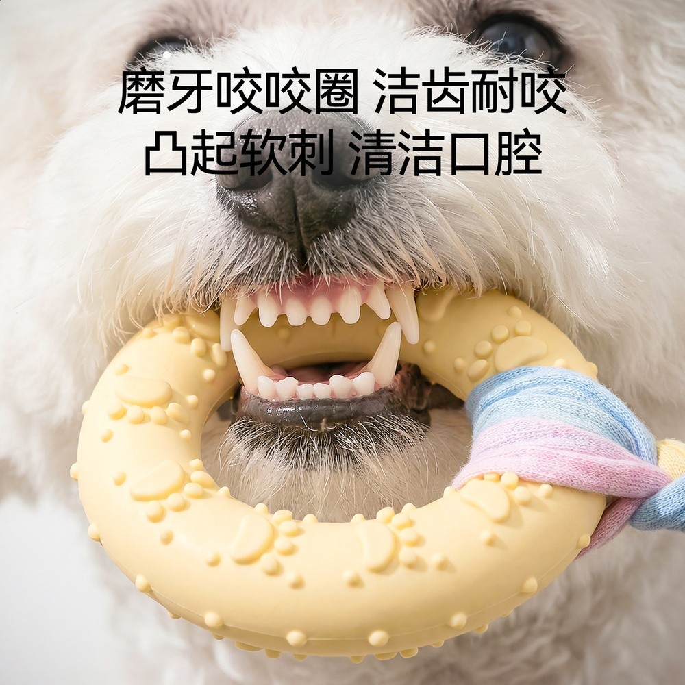 寵物狗狗咬咬圈磨牙發聲玩具耐咬耐抓小型犬互動訓練狗玩具貓玩具-細節圖3