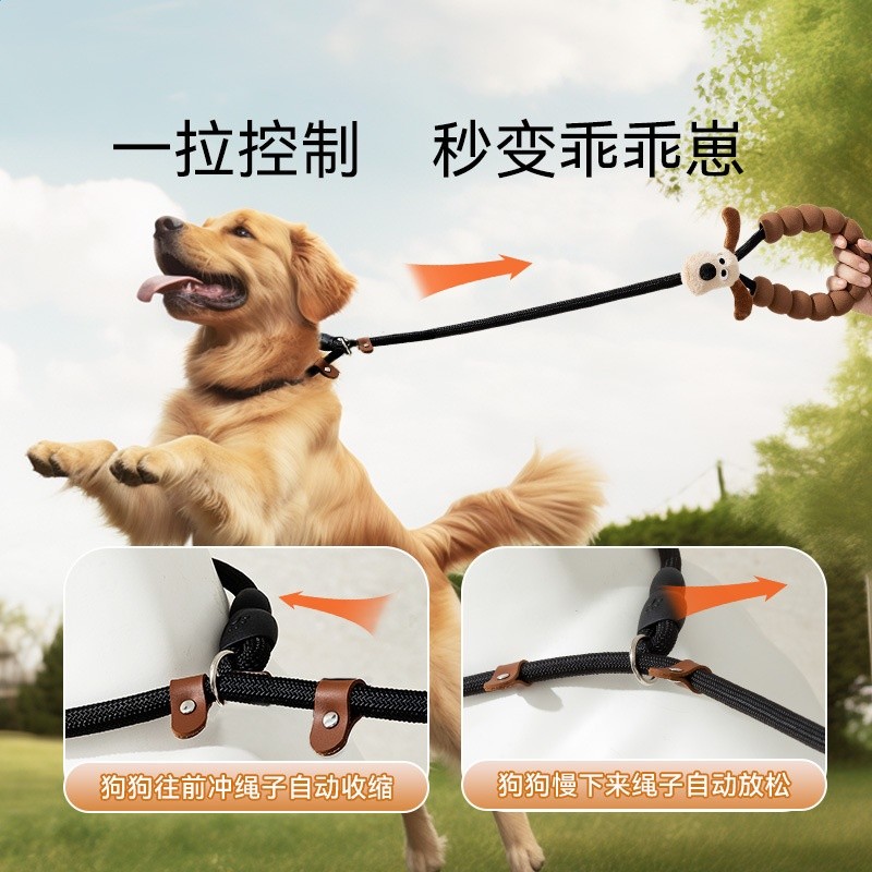 長耳狗p繩大型犬金毛外出爆衝牽引繩狗狗遛狗狗繩牽引繩寵物狗鏈-細節圖4