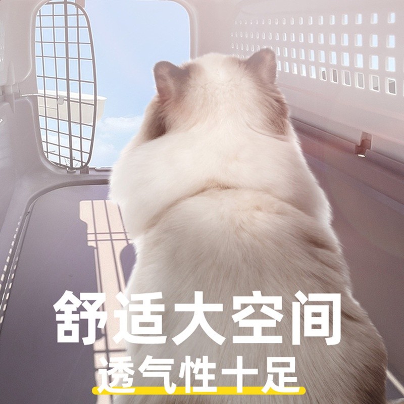 貓咪航空箱寵物託運外出便攜手提式貓籠子貓包狗狗車載寵物運輸箱-細節圖4