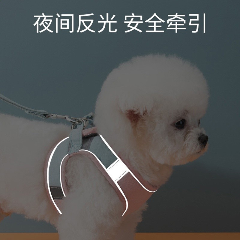 小狗狗牽引繩背心式貓咪幼犬幼貓通用胸揹帶外出遛貓遛狗寵物繩子-細節圖2