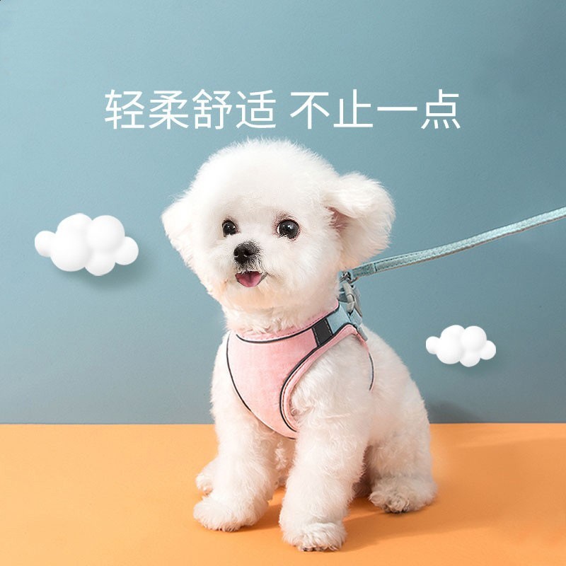 粉藍 拼接