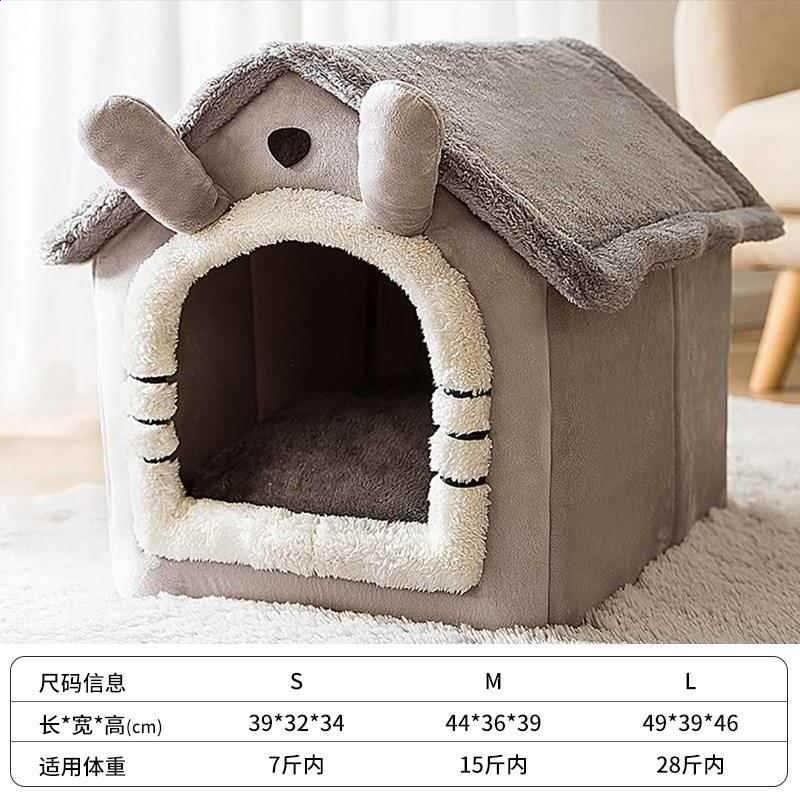 長耳灰貓