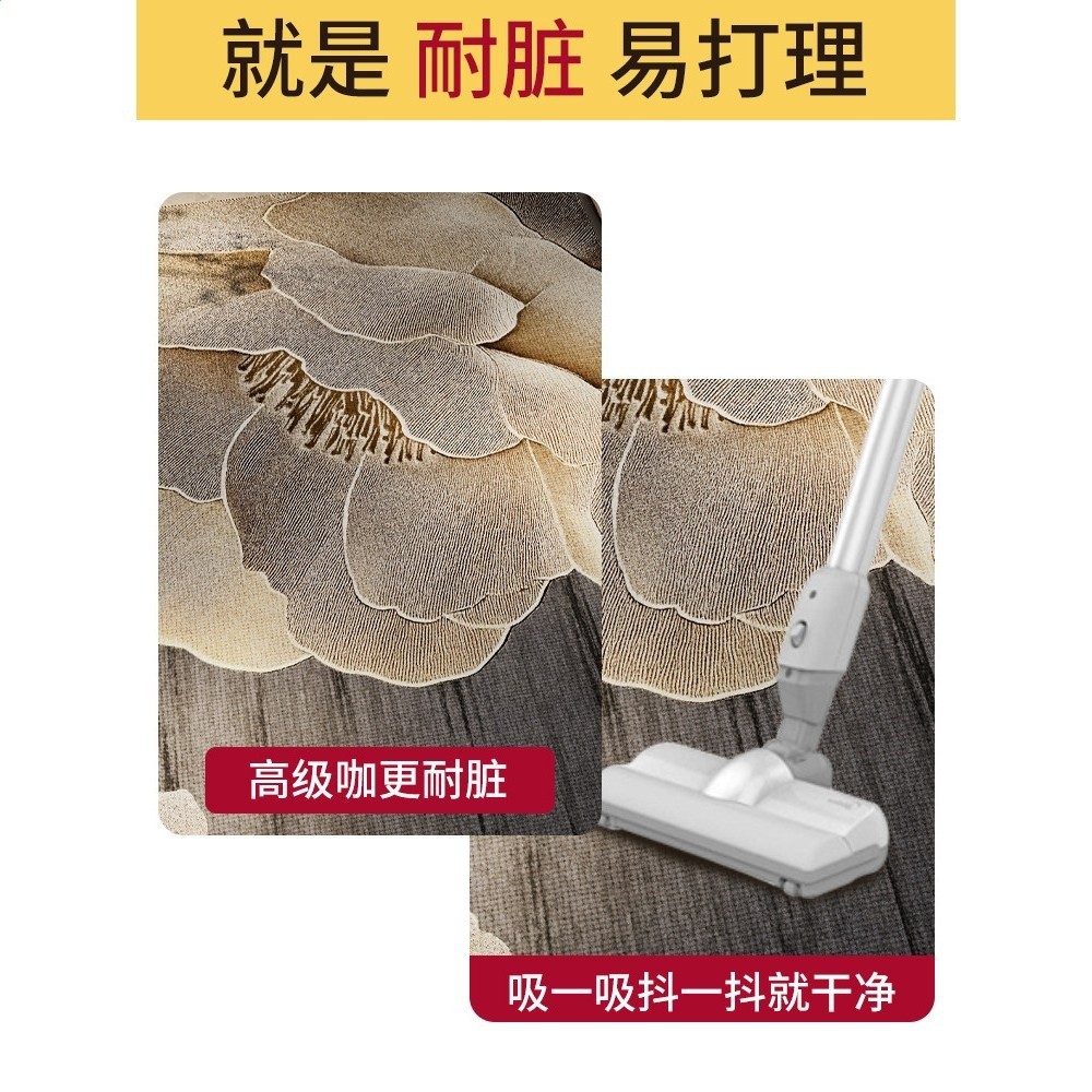 高階感玄關地墊入戶門墊門口進門地毯家用防滑入戶腳墊子-細節圖2
