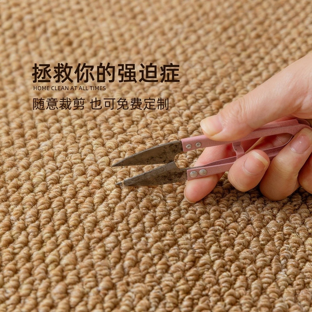 防貓抓地墊入戶門墊玄關門外防滑腳墊高階簡約進門口地毯隨意裁剪-細節圖4