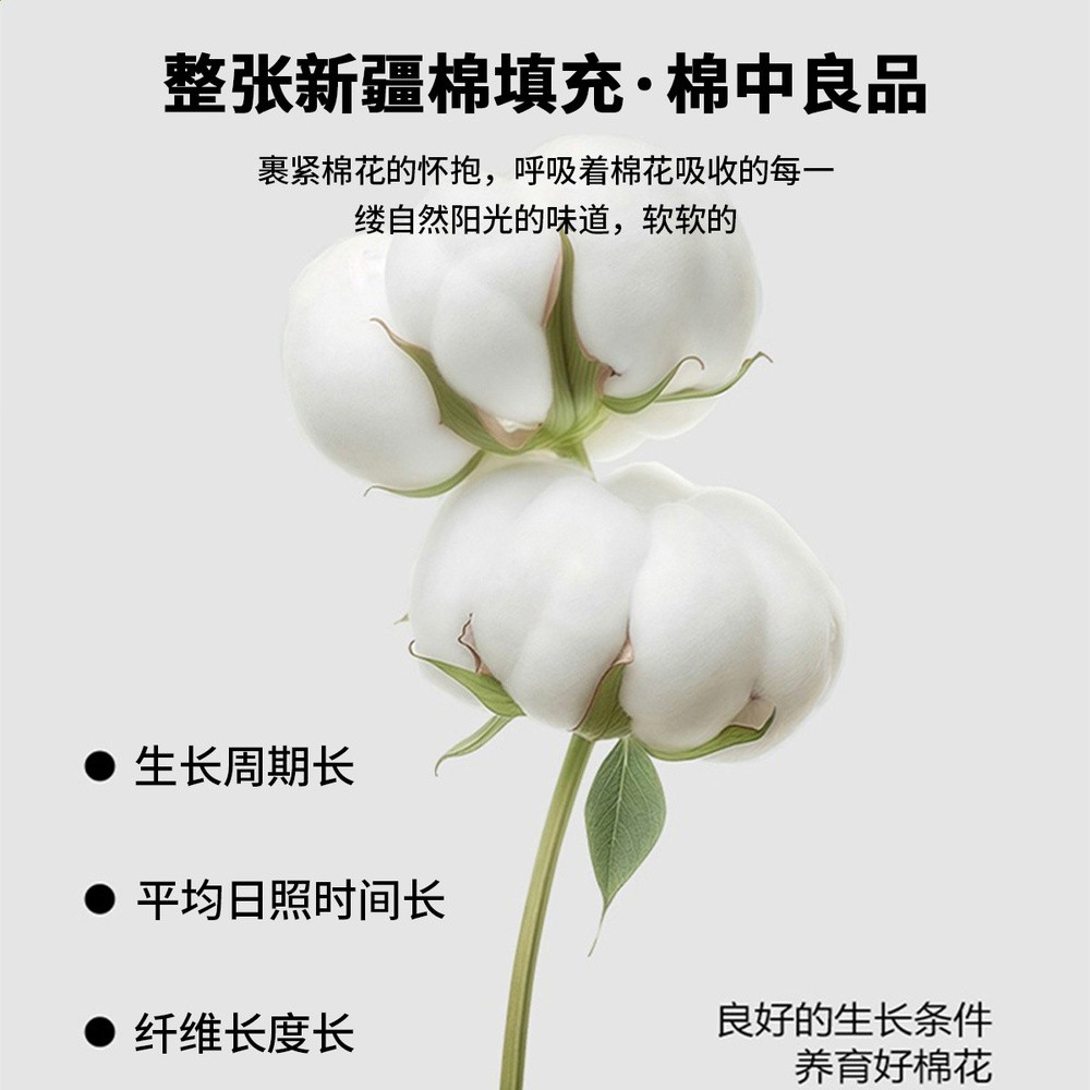 新疆棉花床墊遮蓋物軟墊家用臥室榻榻米學生宿舍單人床褥墊子-細節圖3