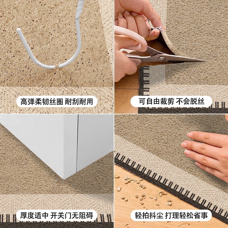 絲圈入戶門地墊高階感家用進門門口耐髒腳墊玄關門外防滑地毯門墊-細節圖3