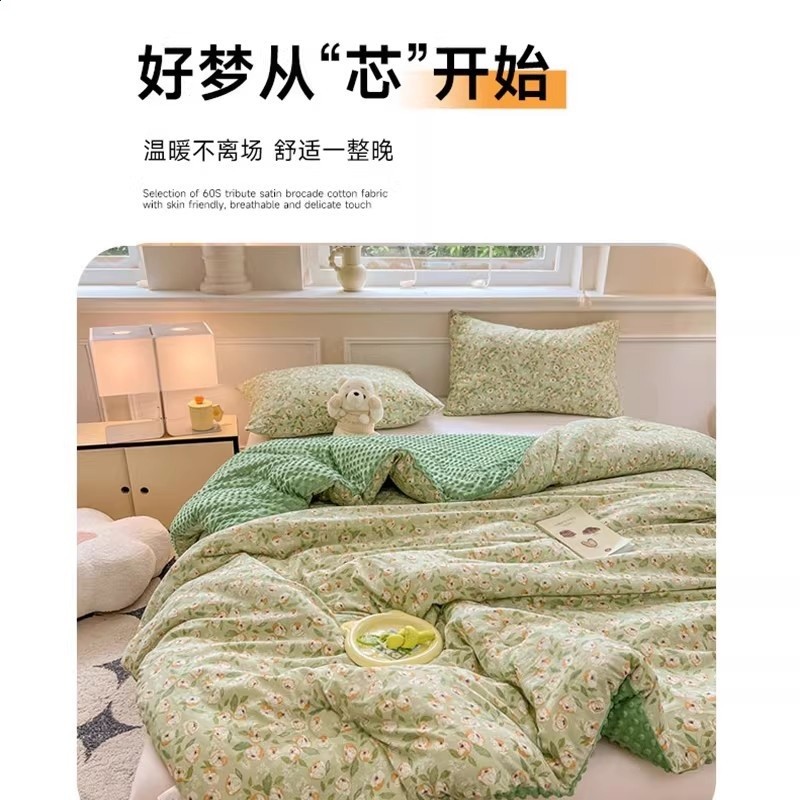 豆豆絨冬季被子冬被2026新款加絨加厚保暖棉被褥單人宿舍冬天被芯-細節圖4