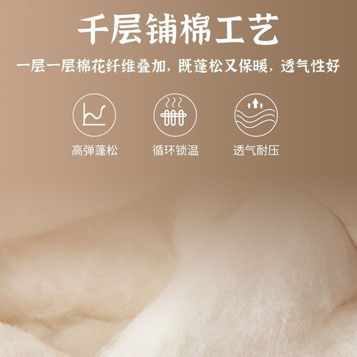 新疆棉花被子冬被棉被全棉冬季加厚保暖純棉製品單人春秋被芯棉絮-細節圖3