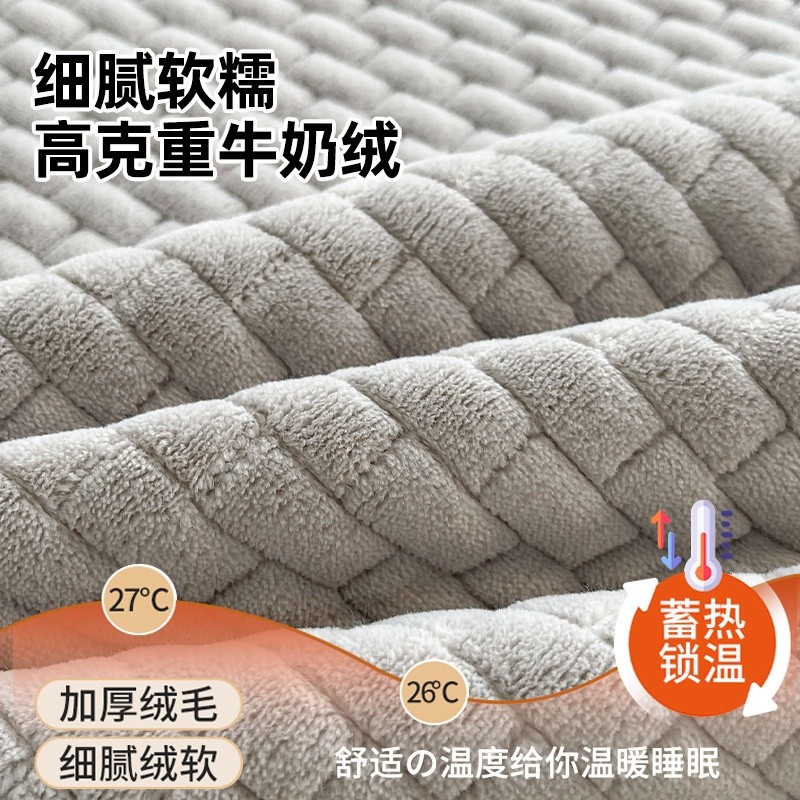 冬季加厚牛奶絨床墊遮蓋物加絨保暖軟蓋墊租房家用宿舍單人床褥墊-細節圖2