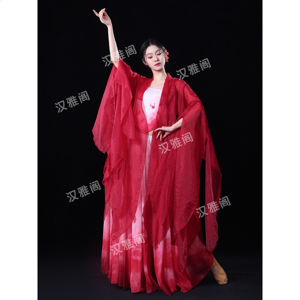 古典舞蹈服女國風紅色身韻飄逸破爛袖紗衣表演服漸變大擺裙演出服-細節圖2