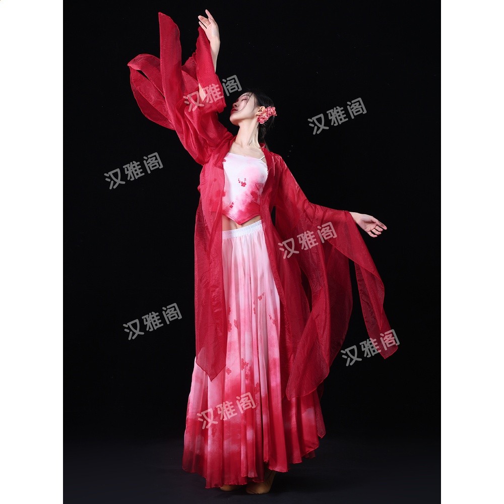古典舞蹈服女國風紅色身韻飄逸破爛袖紗衣表演服漸變大擺裙演出服-細節圖3