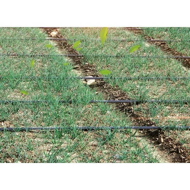 【綠美滴灌噴灌降溫工程】2901~輸水軟帶直接頭轉外牙內牙-細節圖6