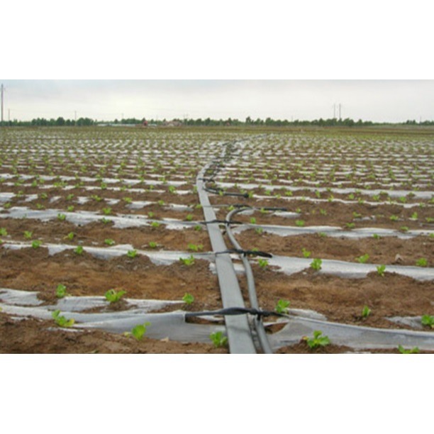 【綠美滴灌噴灌降溫工程】2901~輸水軟帶直接頭轉外牙內牙-細節圖8