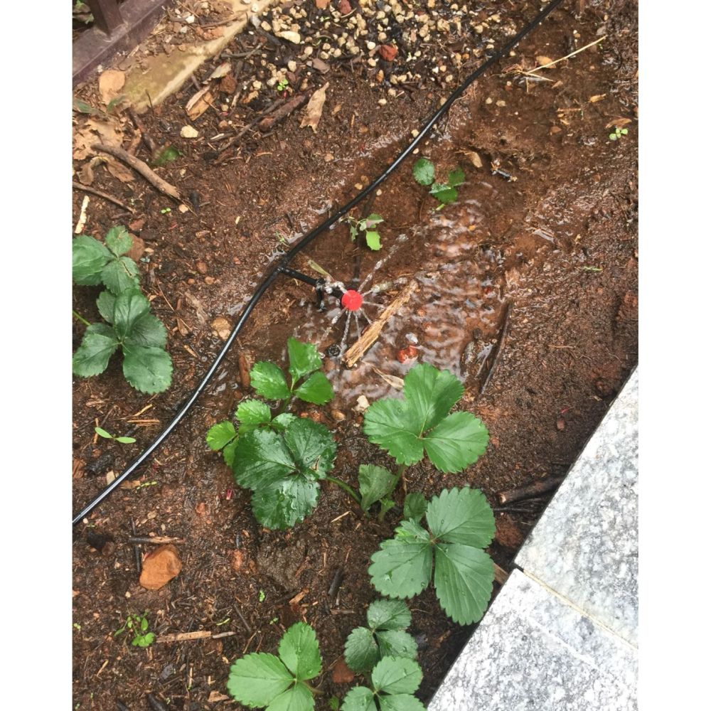 【綠美滴灌噴灌降溫工程】4304~8孔可調流量可關閉滴頭-細節圖5