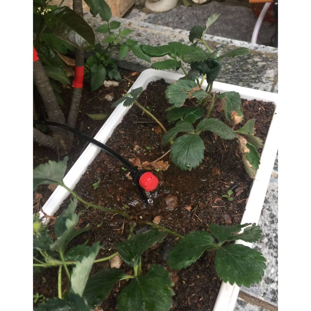 【綠美滴灌噴灌降溫工程】4304~8孔可調流量可關閉滴頭-細節圖6