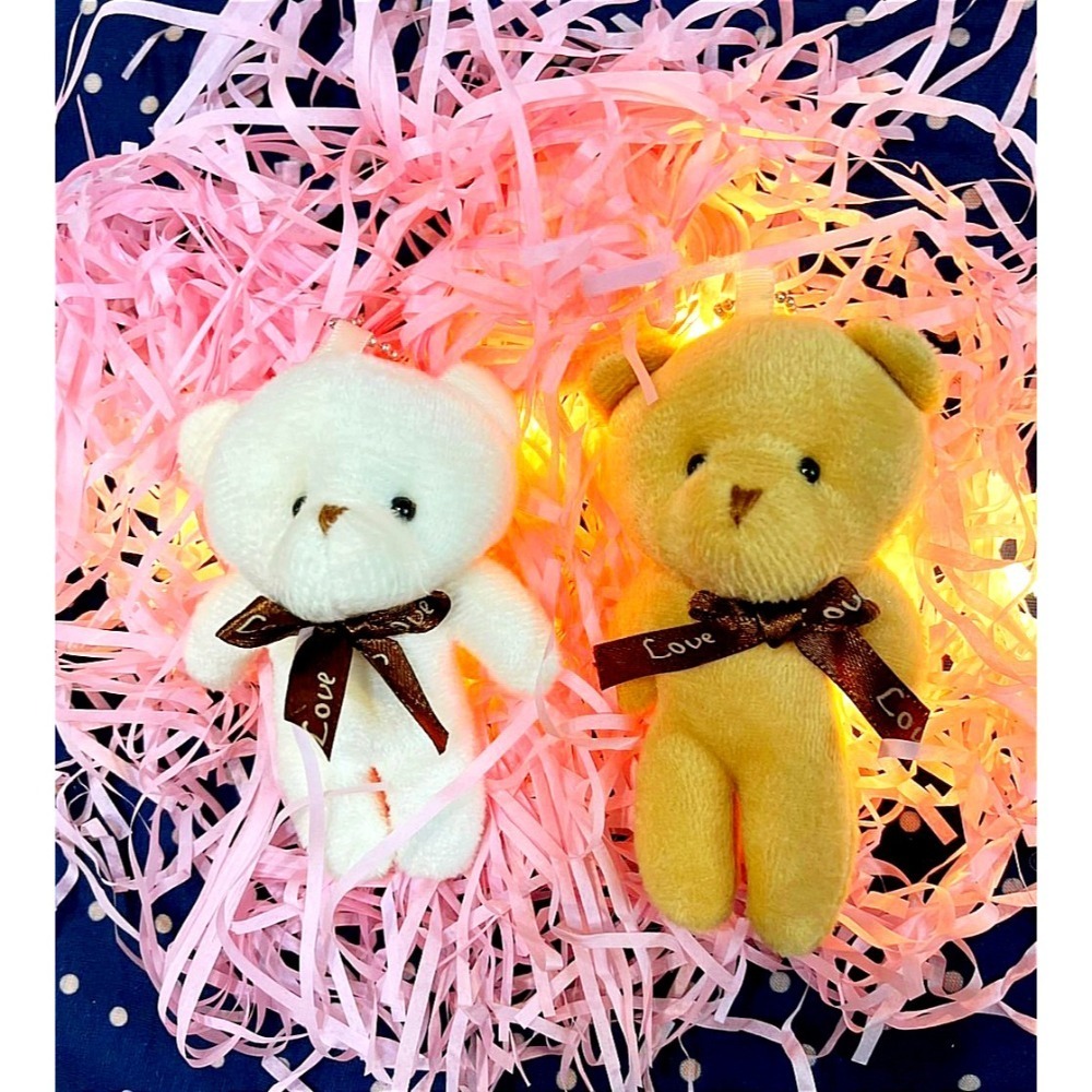 💥台灣現貨💥幸運熊 泰迪熊玩偶 禮盒 禮物裝飾12cm-細節圖3