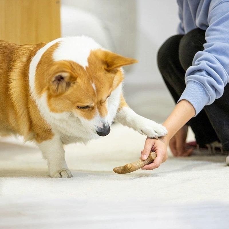 <拔辣選品>>貴為GiGwi狗狗木塑玩具磨牙棒鹿角幼犬耐咬寵物獨處自嗨啃咬神器 現貨-細節圖5