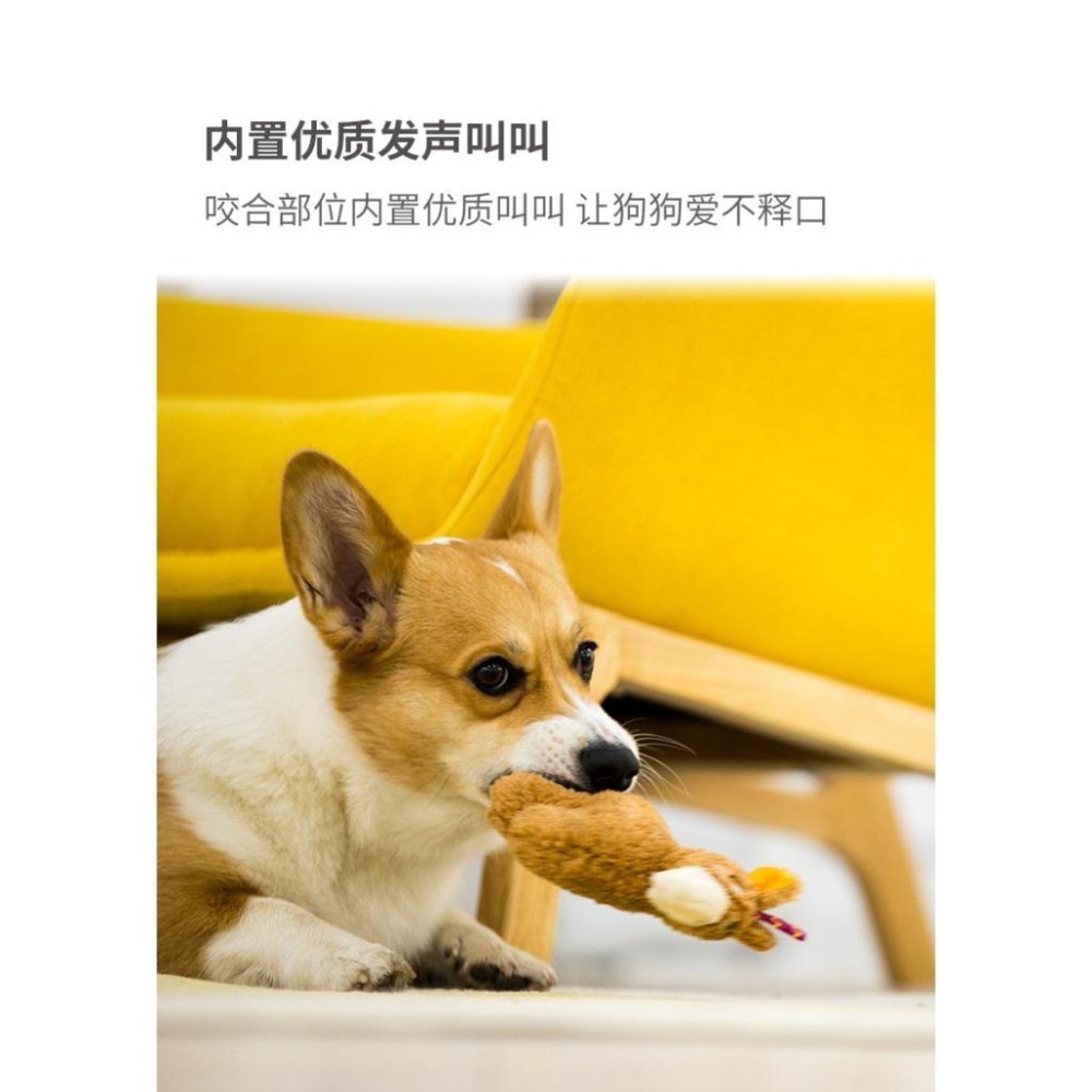 <拔辣選品> 貴為GiGwi 動物呆萌系列毛绒小狗 狗狗玩具響紙 磨牙毛絨發聲 幼犬狗狗解悶自嗨神器 中小型犬玩具-細節圖3