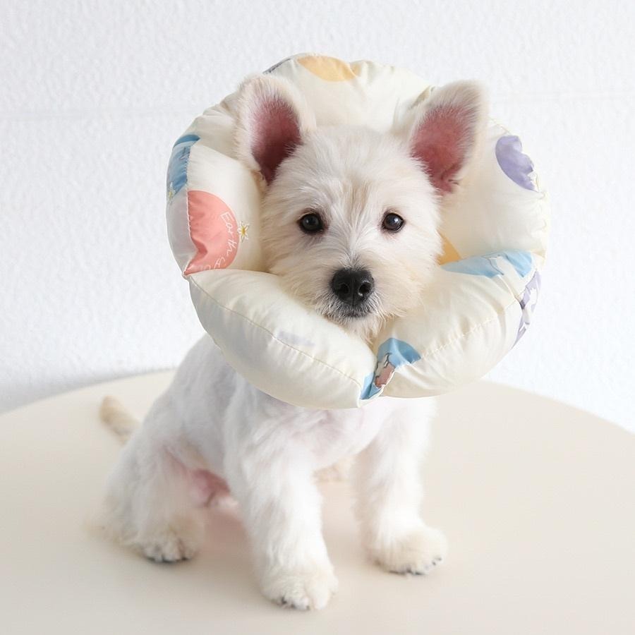 <拔辣選品>貝殼扇形加棉伊麗莎白圈 猫咪狗狗脖圈 寵物枕頭 項圈防抓頭套 防舔頭套 柔軟舒適 鬆緊-細節圖2