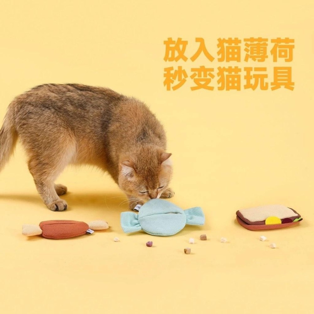 <1313選物>日本FAD藏食系列 狗狗貓貓玩具 益智寵物玩具 聞嗅中小型犬玩具 可水洗玩具 現貨-細節圖2