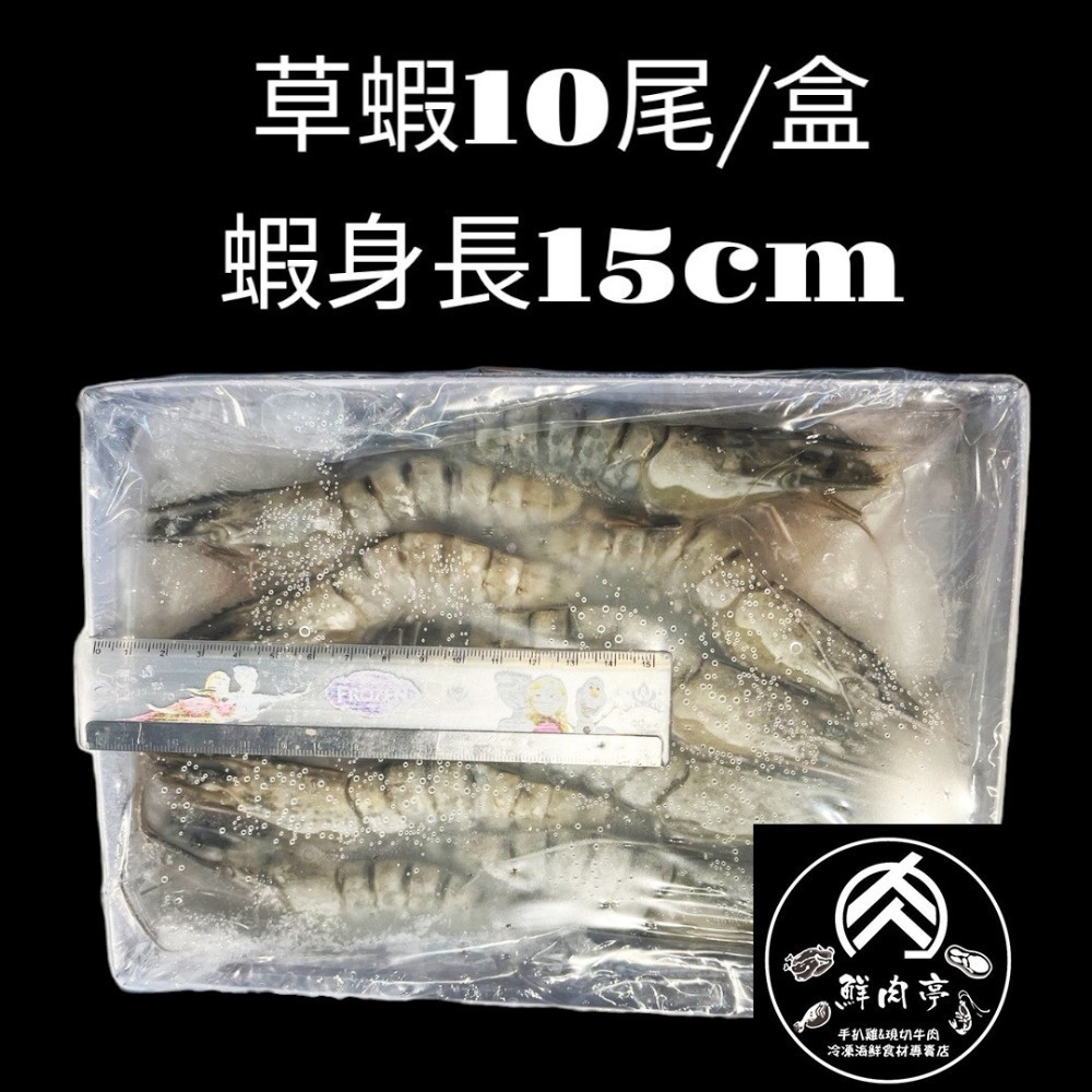 頂級新鮮活凍草蝦(6尾/盒)(10尾/盒) 肉質扎實肥美 乾淨海域生長 6P 10P🧊鮮肉亭🧊-細節圖5