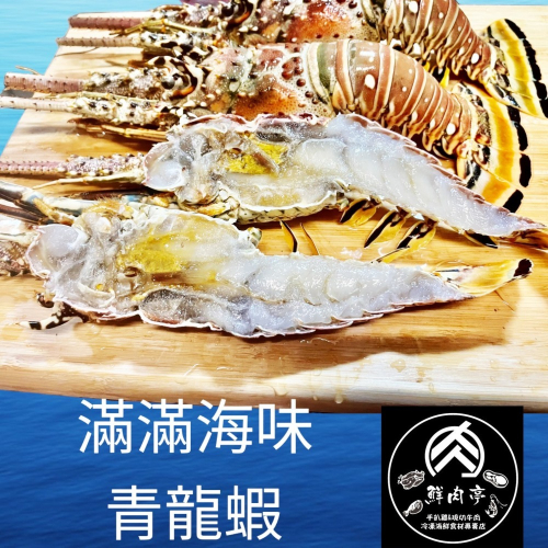 頂級宏都拉斯野生活凍龍蝦 (400克~450克/隻) 殼超薄 肉超多 青殼龍蝦 純淨水域 野生海捕 🧊鮮肉亭🧊