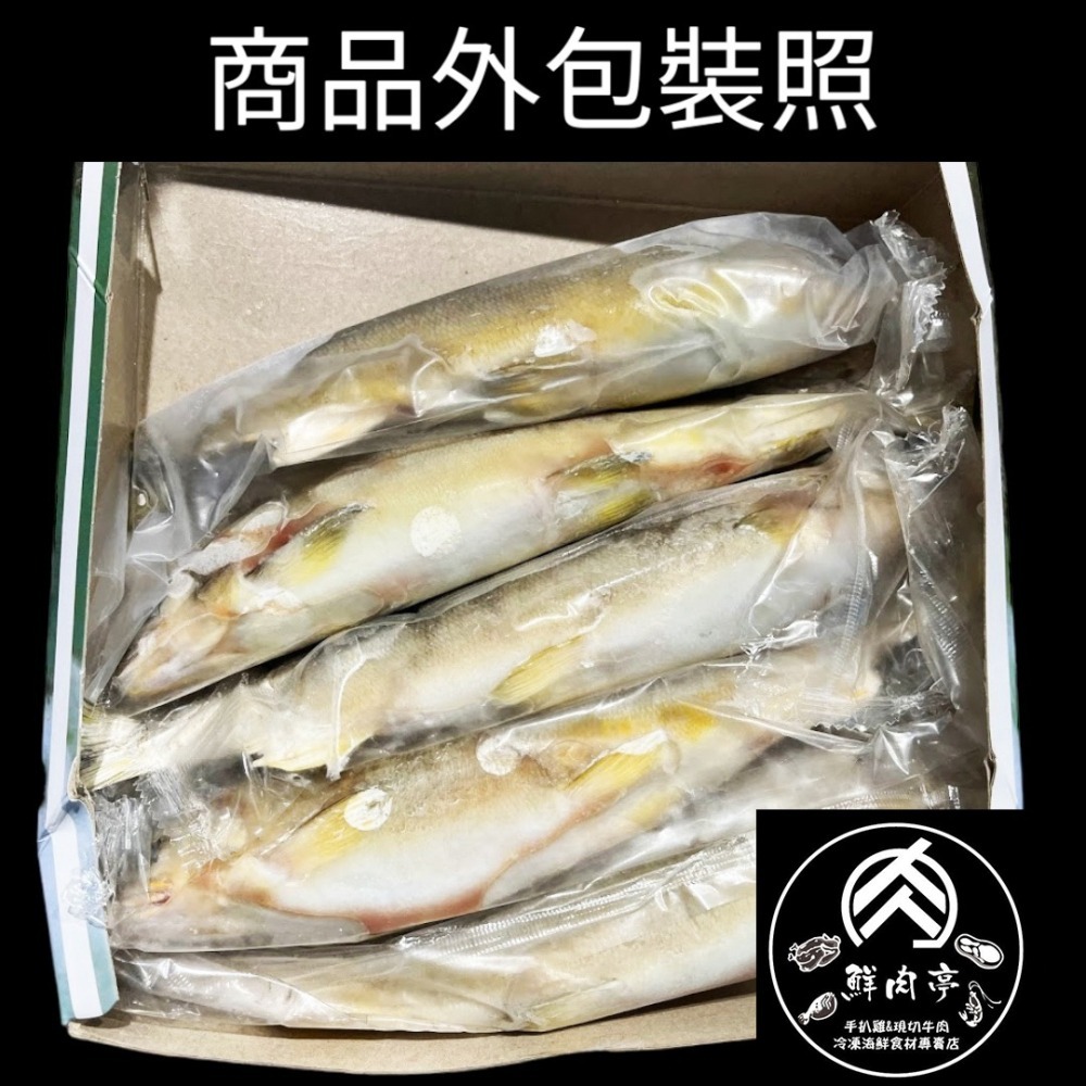 台灣XXL爆卵母香魚 (1kg/5尾) 魚卵飽滿母香魚 新鮮活凍黃金母香魚 無包冰 🧊鮮肉亭🧊-細節圖4