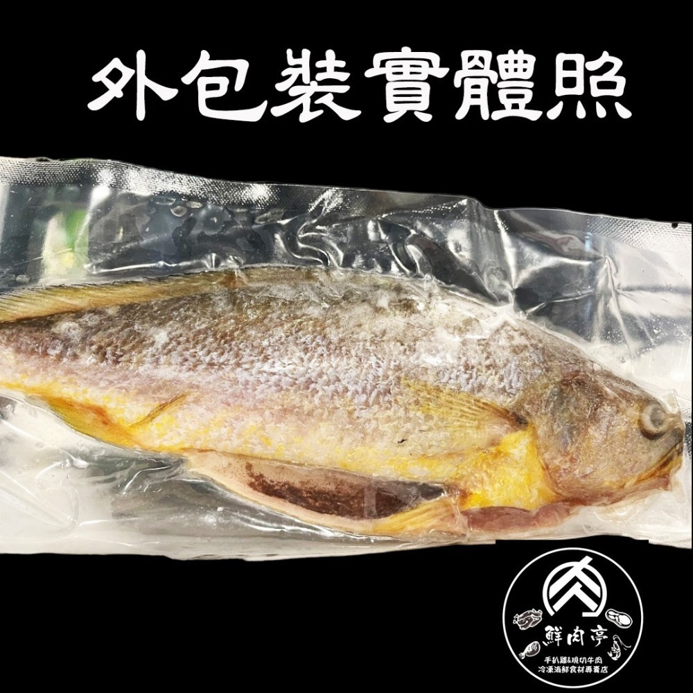 台灣大黃魚 (400克/尾) 肉質細緻 海水生長 現流現撈鮮魚 🧊鮮肉亭🧊-細節圖2