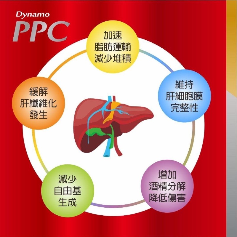 維億生技 固肝康 PPC/DLPC軟膠囊 30顆/盒（棗精公司新產品）-細節圖8