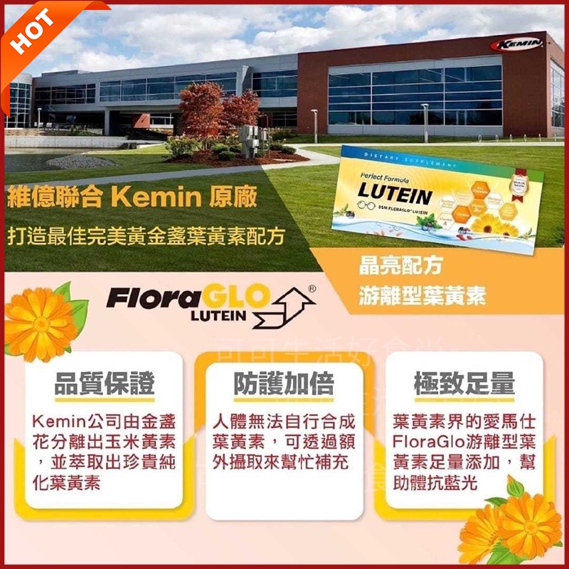 維億生技 金盞花 葉黃素飲 ( 15mlx10瓶/盒)-細節圖2