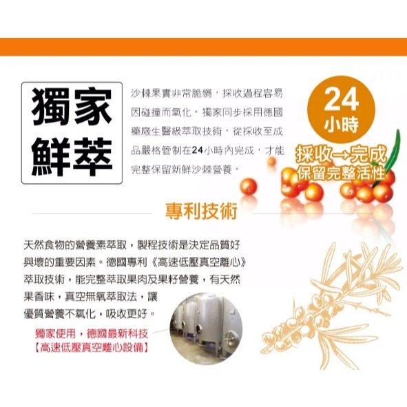 【藥局現貨】Dr. Royal 沙棘護理凝膠 25ml / 預防皮膚乾裂護理肌膚 其他-細節圖3