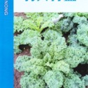 四季園 羽衣甘藍(無頭甘藍) 【蔬果類種子】興農牌/農友牌 彩色包裝-規格圖4