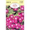 四季園 福祿考【花卉種子】農友牌/天星牌 花卉原包裝種子 新鮮種子-規格圖4