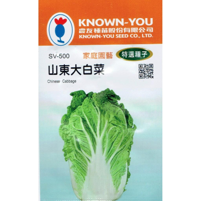 四季園 山東大白菜(Chinese Cabbage) sv-500 【蔬菜種子】每包約150粒 農友種苗特選種子