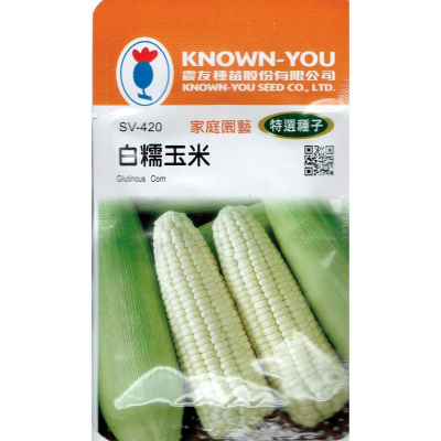 四季園 白糯玉米 Glutinous Corn (sv-420) 玉米 【蔬果種子】農友種苗特選種子 每包約20公克
