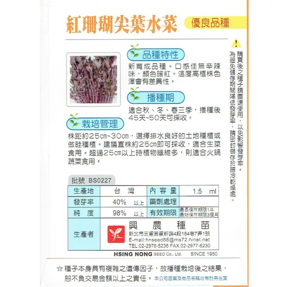 四季園 紅珊瑚尖葉水菜 每包約1.5ml  興農種苗蔬果種子 可生菜食用、火鍋蔬菜食用。-細節圖2