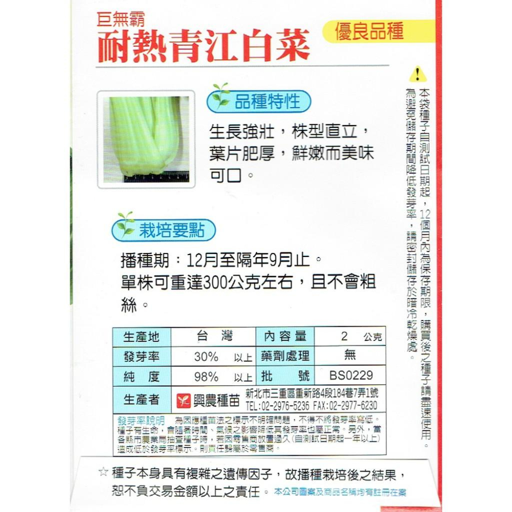 四季園 青江菜(巨無霸) 青梗白菜 耐熱青江白菜 【白菜類種子】興農牌中包裝 每包約2公克-細節圖2