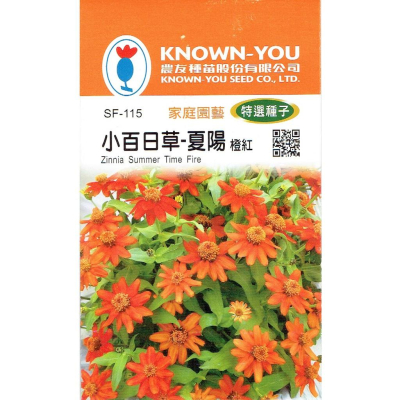 四季園 小百日草 夏陽 橙紅 F1 品種 每包約50粒 農友種苗特選花卉種子