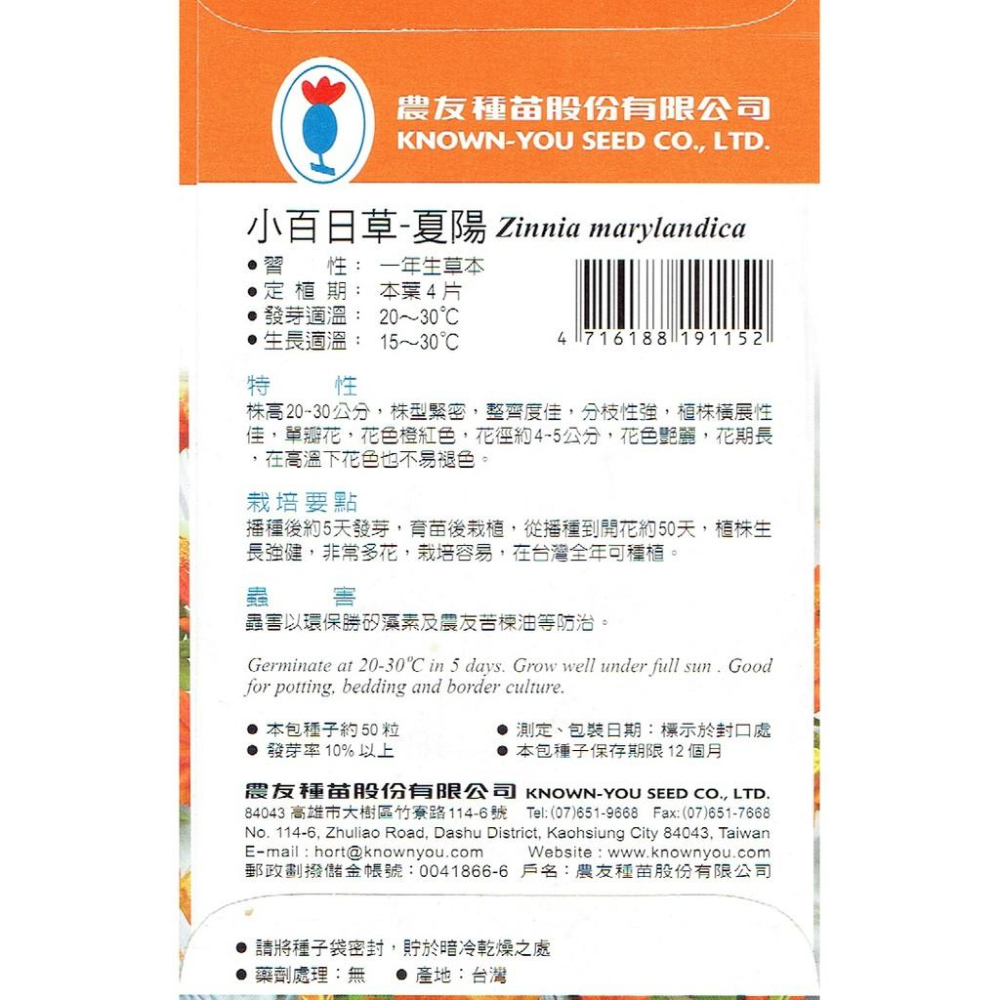 四季園 小百日草 夏陽 橙紅  F1 品種 每包約50粒 農友種苗特選花卉種子-細節圖2