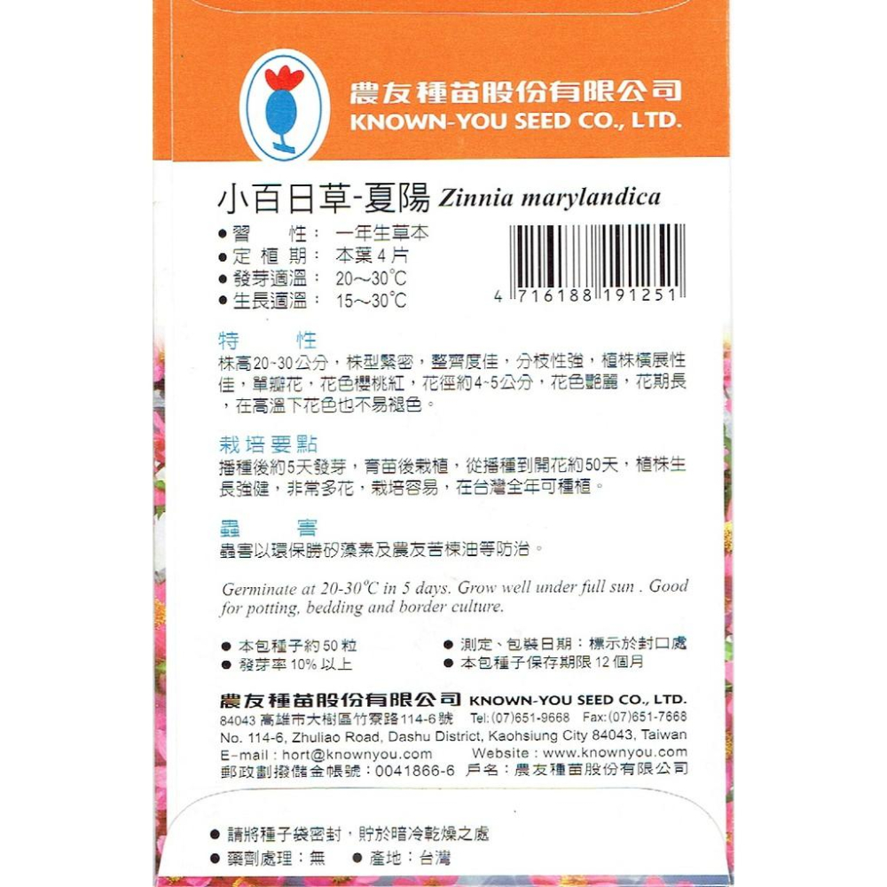 四季園 小百日草 夏陽 櫻桃紅 農友種苗 花卉種子 每包約50粒-細節圖2