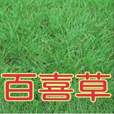 百喜草 【草種子】1公斤/包 又稱爲巴哈雀麥、美洲雀麥、金冕草，是一種多年生草本植物