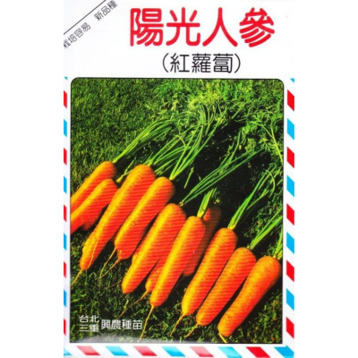 四季園 紅蘿蔔(陽光人參) 【蘿蔔類種子】興農牌中包裝 每包約4公克
